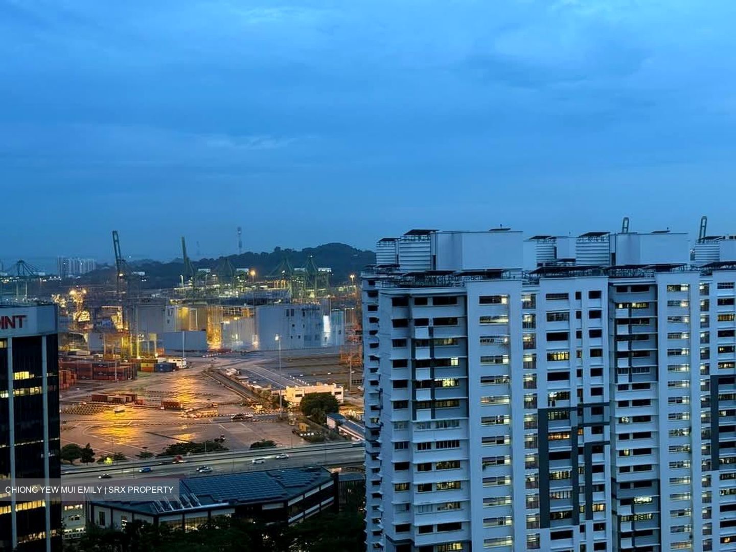 Blk 1 The Pinnacle@Duxton (Bukit Merah), HDB 4 Rooms #568897631